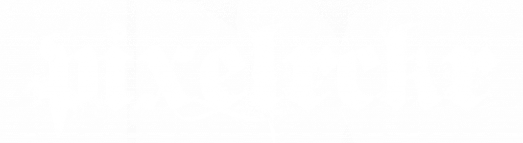 pixelrckr Logo Startseite